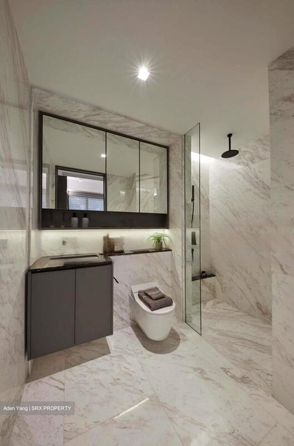 The Landmark (D3), Condominium #486624541